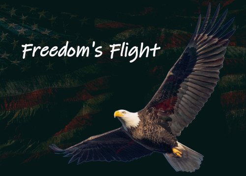 Freedom's Flight